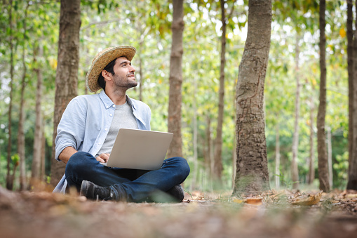 Whether you are working on sustainable agriculture, seeking a connection with nature, or simply looking for a peaceful and productive environment, sitting and working in a forest garden can be a fulfilling and enriching experience that nurtures both the land and the soul.