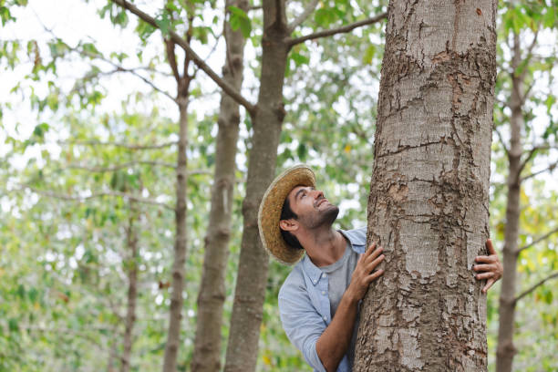 istock Handsome man with beard in white shirt hugging the tree with be happy. 1679377934