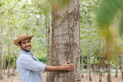 Some people believe that trees have healing energy and that by touching them, you can exchange positive energy and release negative energy.