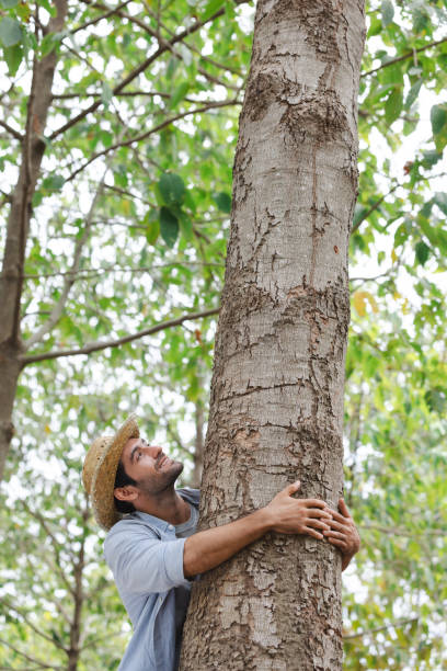 istock Handsome man with beard in white shirt hugging the tree with be happy. 1679378289