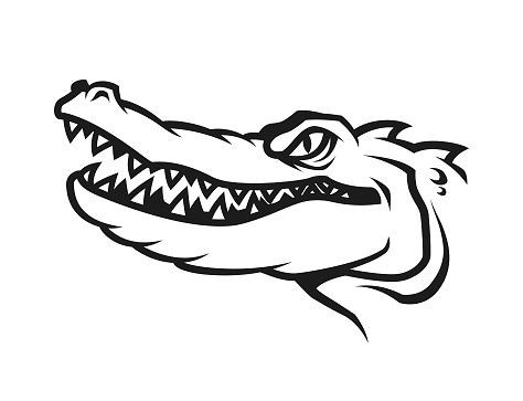 Stylized outline silhouette of an alligator crocodile head with an open toothy mouth - cut out vector illustration, logo, icon, sticker