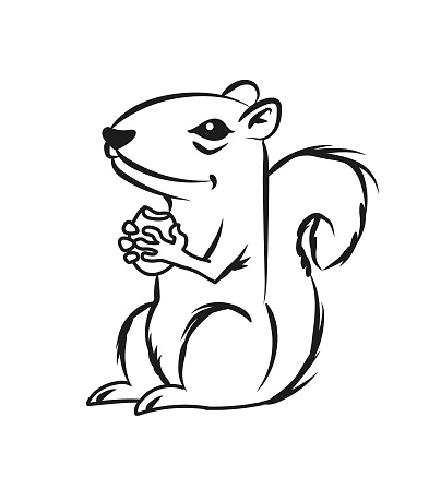 Cartoon squirrel holding a bitten nut or acorn - outline cut out vector illustration in hand sketch style