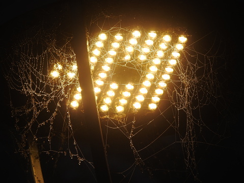 A web of webs around a lamp, surrendered by the left over rain