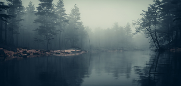 background by the water water in a mysterious and scary forest Smog in the forest dark tones a lazy river in a fantasy forest