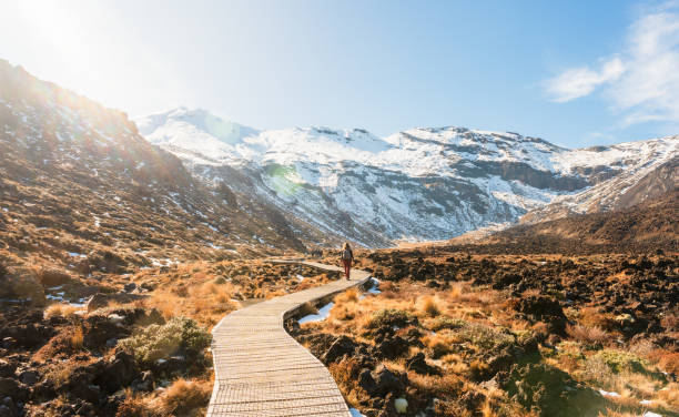 Tongariro National Park Trail.