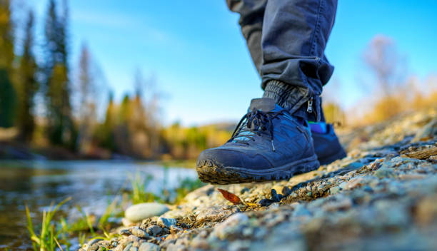 istock Men's foot steps in the wild 1679509646
