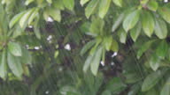 istock 4k Heavy Raining at home. 1679510305