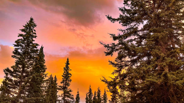 istock Dramatic sky in Alaska after a rainstorm at sunset 1679518663