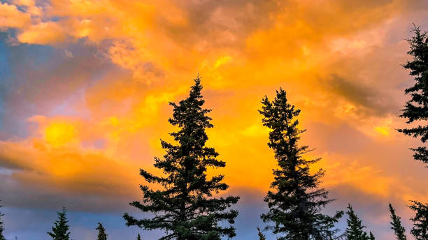 istock Dramatic sky in Alaska after a rainstorm at sunset 1679518666