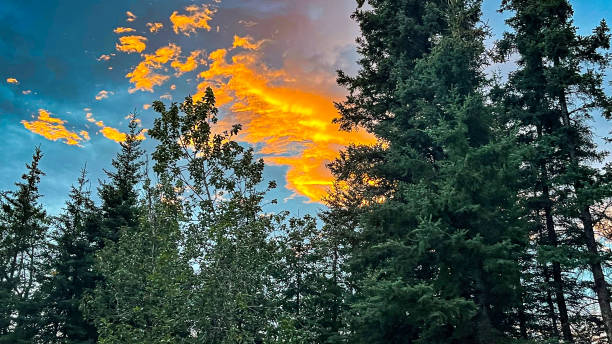istock Dramatic sky in Alaska after a rainstorm at sunset 1679519187