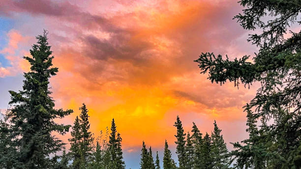 istock Dramatic sky in Alaska after a rainstorm at sunset 1679519195