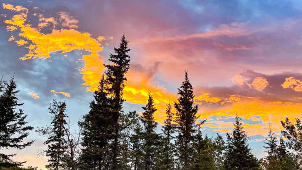 istock Dramatic sky in Alaska after a rainstorm at sunset 1679519199