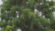 istock 4k Heavy Raining at home. 1679525643