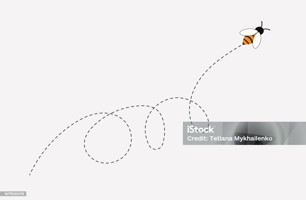 Bee Path The Flight Path Of A Bee A Trace With A Dotted Line The Buzzing Of An ...