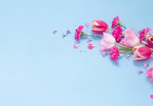 istock beautiful spring flowers on blue background 1679565277
