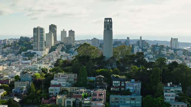 Aerial Shot of Coit Tower in San Francisco
