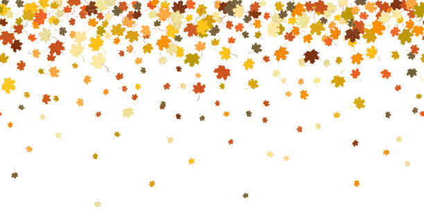 ilustraciones, imágenes clip art, dibujos animados e iconos de stock de patrón de otoño sin costuras con hojas de arce - autumn leaf white background land