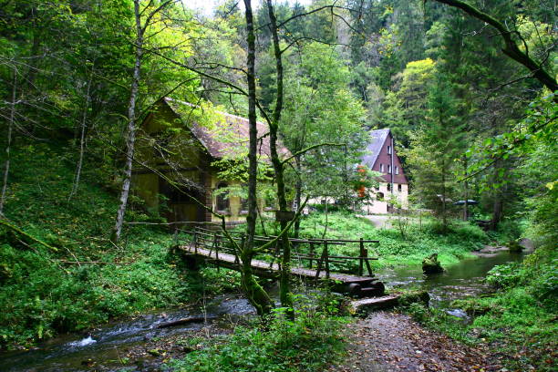 istock Impressions from the Black Forest 1679717353