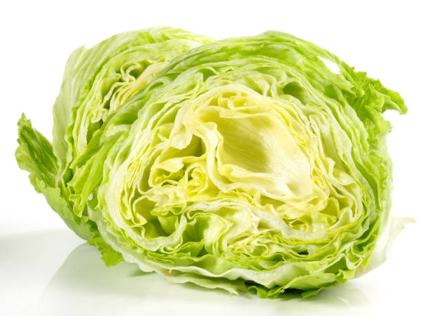 istock Iceberg Salad on White - Isolated 1679722184
