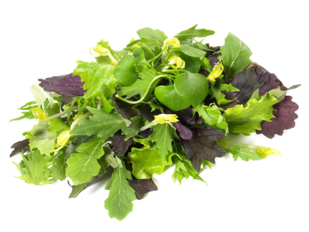istock Fresh Mixed Salad Leaves - Isolated 1679723798