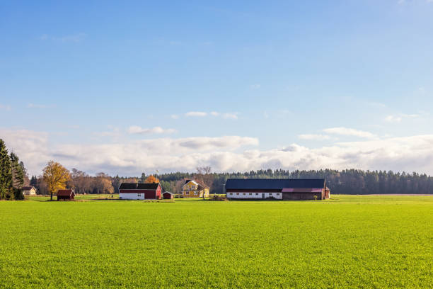 istock Farm in a cultivated landscape at autumn 1679740817