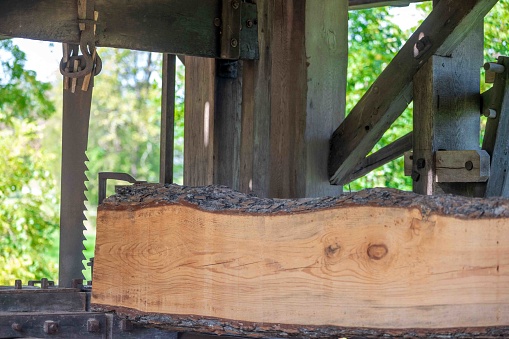 Vertical saw and cut log with wood grain and tree bark in colonial American sawmill in Pennsylvania, historic early American industry