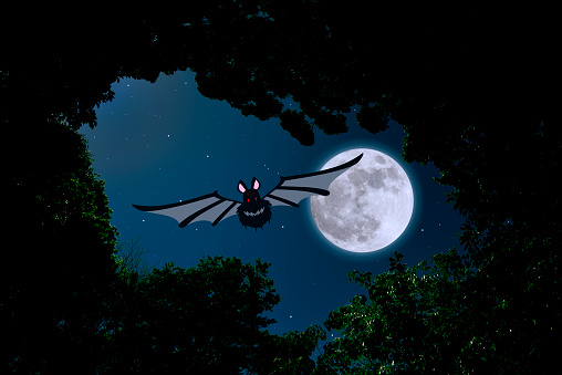 Supermoon rising over bat flying in dark forest with copy space.