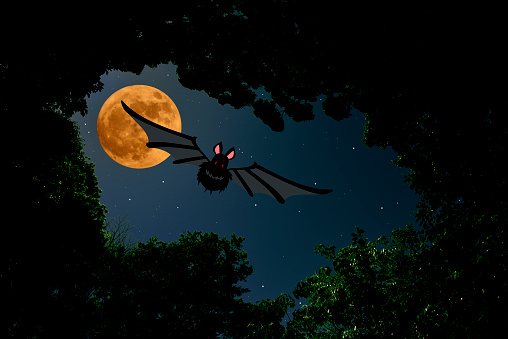 Strawberry supermoon rising over bat flying in dark forest with copy space.