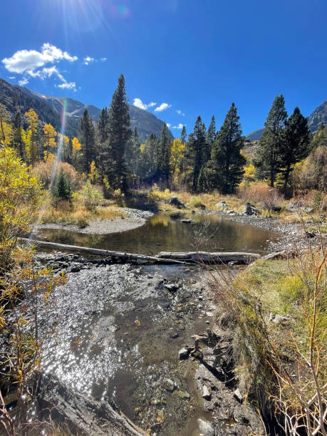 istock Beaver dam, pond, and fall colors at Lundy Canyon, 1679745935