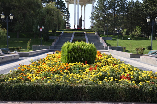 Flowerbeds in the park on the background of the building