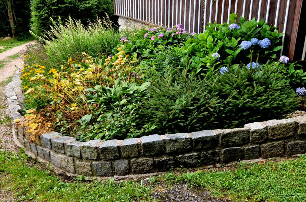 bord surélevé du parterre formé de blocs de pierre joints avec du ciment. forme ronde arrondie autour du chalet sous les fenêtres. combinaison romantique de fleurs d’automne - hydrangea gardening blue ornamental garden photos et images de collection