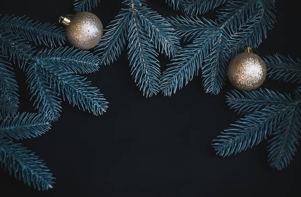 istock Green branches ate on black background. Dark background for Christmas card or advertising. Decorated with golden balls New Year's spruces. 1679809215