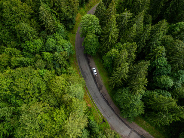 istock cars move along the autobahn 1679833608