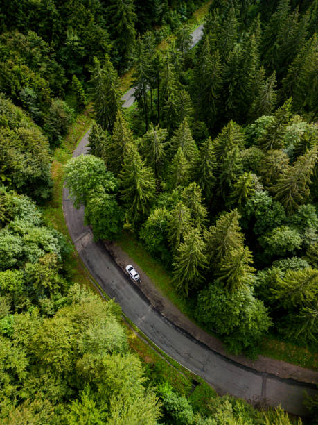 istock cars move along the autobahn 1679833610