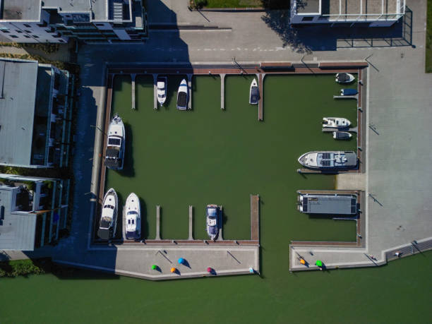 istock pier with yachts and motor boats 1679840732