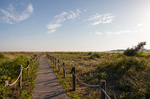 Panoramic view of a wooden walkway passing on a sandy and abandoned area, covered by wild plants and grass, near a beach, under a clear sky, illuminated by the sunlight in summer