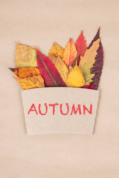istock dried autumn leaves on a natural paper background 1679853150