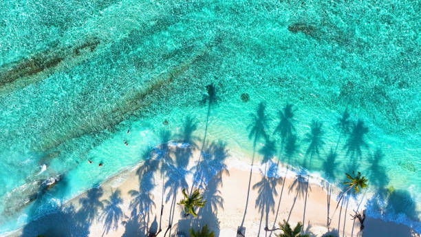 istock Summer palm tree  and Tropical beach with blue  sea background 1679872467