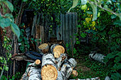 Birch firewood lies in the garden