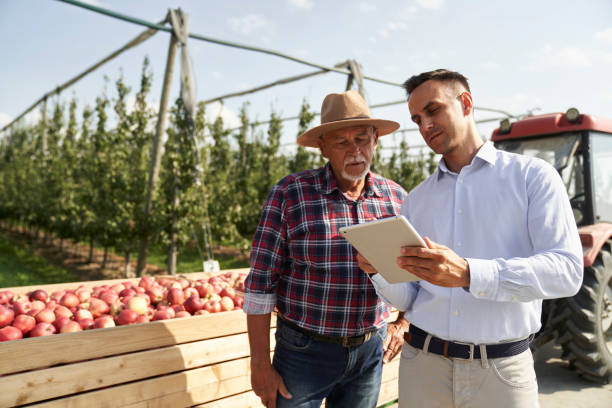 Senior farmer and sales representative talking over digital tablet on apple orchard stock photo