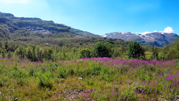 istock The Flam Railway is a train journey in Norway. 1679947025