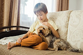 A little boy is sitting on the sofa in the living room and stroking his pet, a dog of the Yorkshire Terrier breed.