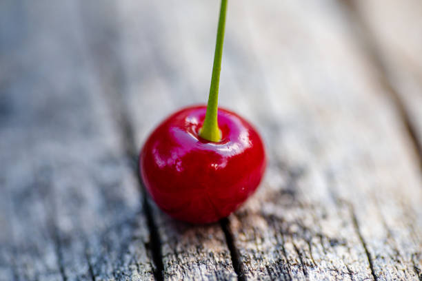Red juicy cherry close-up. Falling from tree cherry on old wooden background.