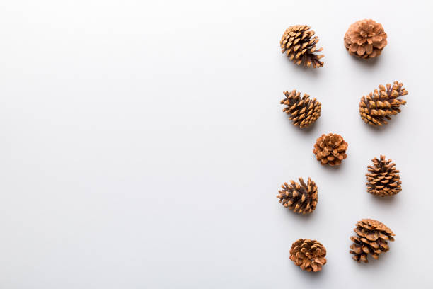 istock Christmas pine cones on colored paper border composition. Christmas, New Year, winter concept. Flat lay, top view, copy space 1679963005