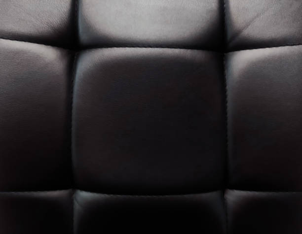 istock The skin is black with a division into squares, background 1679963009