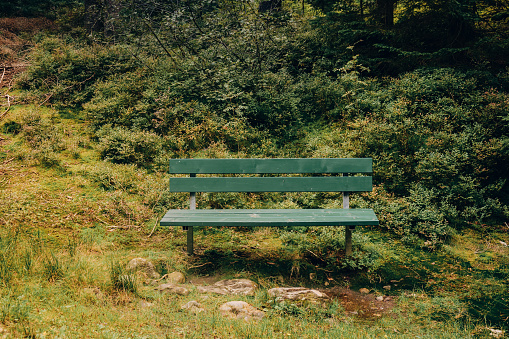 green wooden bench in a coniferous forest in germany