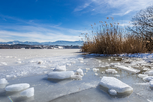 Frozen Lake Simssee and Reeds in front of Snowy Mountains in Bavaria, Germany, Europe
