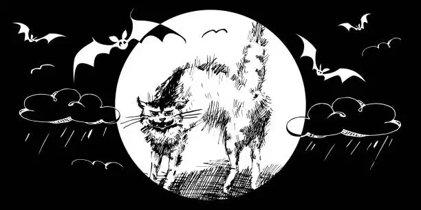Vector illustration of Cat hunting bats at night under the full moon. Black and white stylish vector illustration with hand drawn drawings.