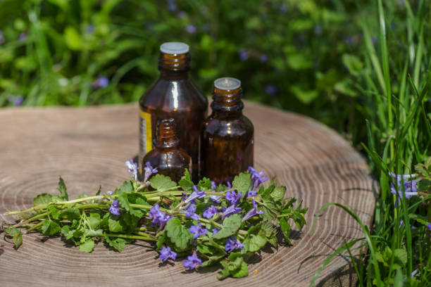 Two pharmaceutical bottle of medicine Glechoma hederacea, Nepeta hederacea, ground-ivy, catsfoot, field balm, and run-away-robin, creeping jenny on green background. Preparation of medicinal plants. dos botellas farmacéuticas de medicamentos de glechoma hederacea, nepeta hederacea, hiedra de tierra, pata de gato, bálsamo de campo y petirrojo fugitivo, arrastrando a jenny junto a un montón sobre fondo verde. preparación de plantas medicinales. poci