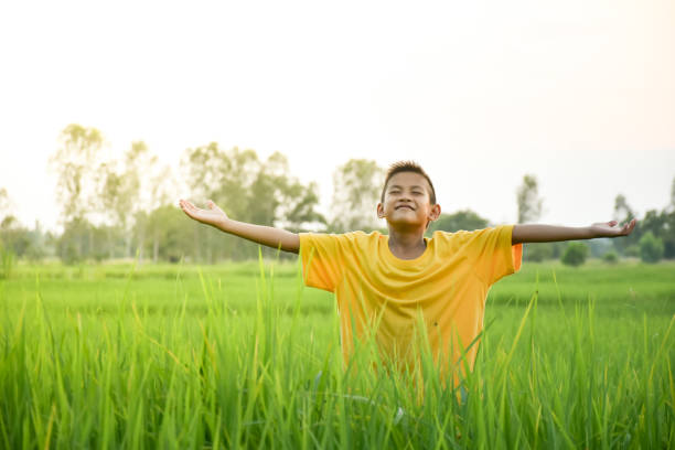 Asian young boy smile cute and charming raised both his arms and his face felt refreshed,young asian boy the yellow shirt on the background of the rice fields and the clear sky with the soft sunrise in the morning a fresh feeling.